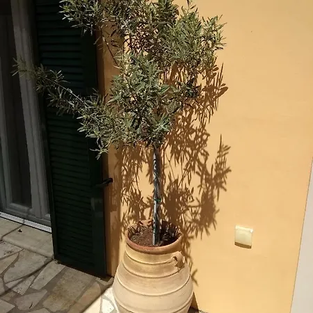 Eirini's House Apartment *